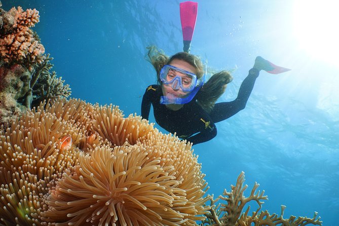 Quicksilver Great Barrier Reef Snorkel Cruise from Port Douglas - The helicopter view and onboard meals