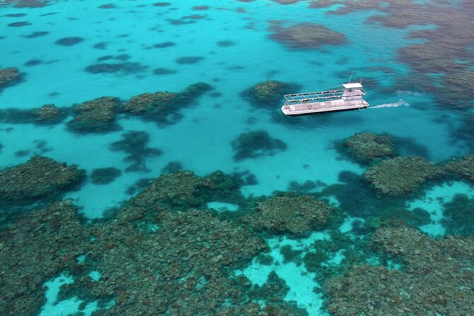 Quicksilver Great Barrier Reef Snorkel Cruise from Port Douglas - What the $233.10 price really covers