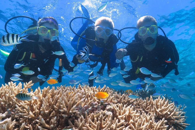 Quicksilver Great Barrier Reef Snorkel Cruise from Port Douglas - Families, older adults, and mixed groups
