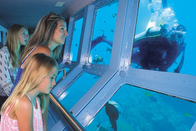 Quicksilver Great Barrier Reef Snorkel Cruise from Port Douglas - Snorkeling among coral and fish