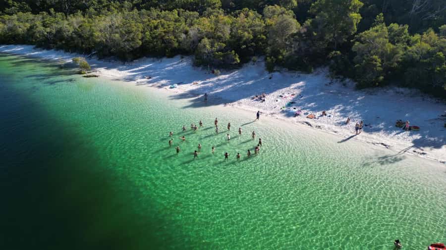 Rainbow Beach: 3-Day K'gari (Fraser Island) 4WD Adventure - Day two: Eli Creek and the Maheno Shipwreck