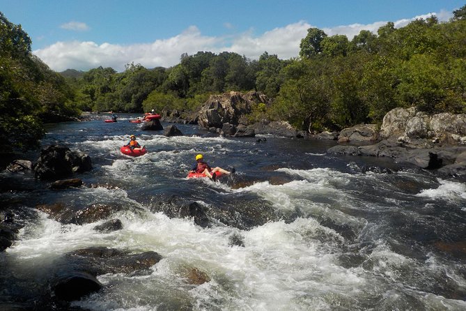 Rainforest River Tubing from Cairns - The guides make or break the outing