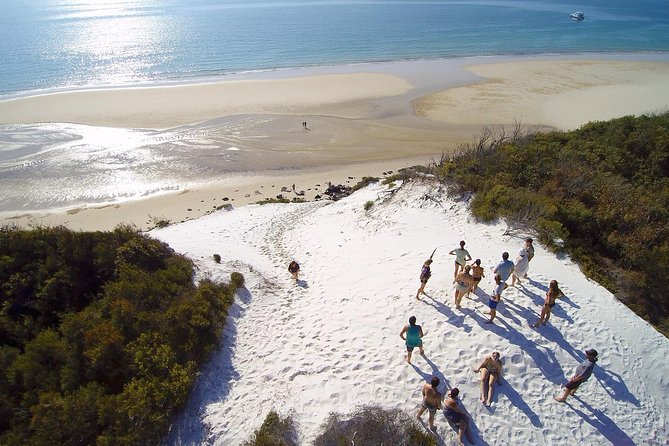 Remote Fraser Island Experience - Wildlife and whale watching between July and October