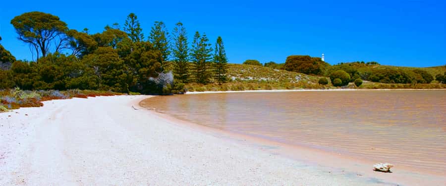 Rottnest Grand Island Package with Ferry, Tour & Light Lunch - Why this Rottnest day works for first-time visitors