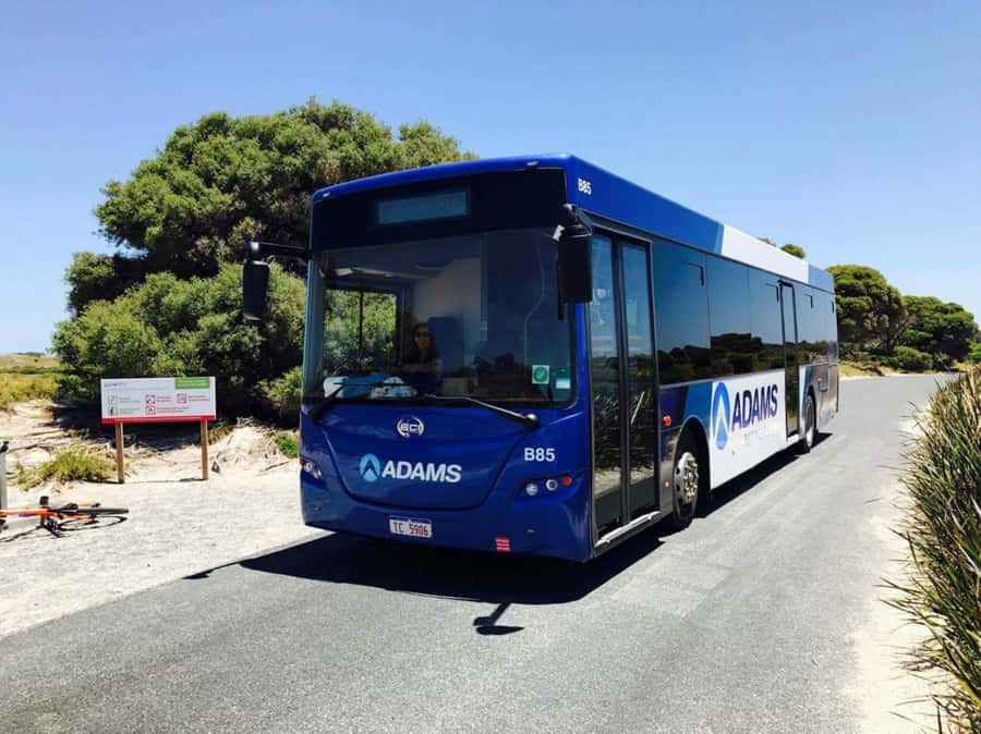 Rottnest Grand Island Package with Ferry, Tour & Light Lunch - Riding toward Oliver Hill