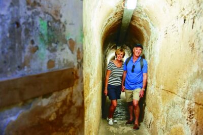 Rottnest Grand Island Package with Ferry, Tour & Light Lunch