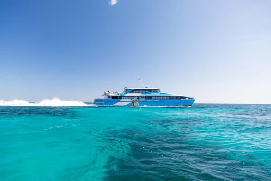 Rottnest Grand Island Package with Ferry, Tour & Light Lunch - Finding quokkas without chasing them