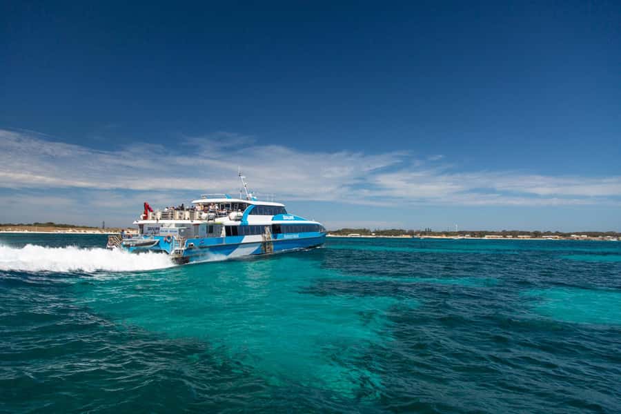 Rottnest Grand Island Package with Ferry, Tour & Light Lunch - Is $138 good value?