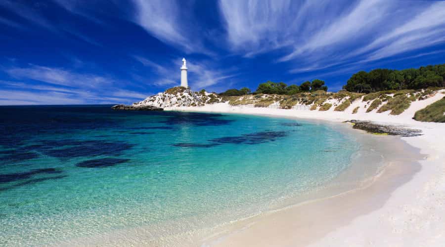 Rottnest Island: Grand Bus and Train Tour with Lunch - Key points to know before booking