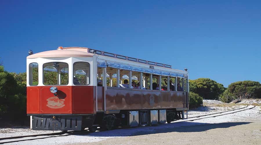 Rottnest Island: Grand Bus and Train Tour with Lunch - Seeing Rottnest Island without wearing yourself out