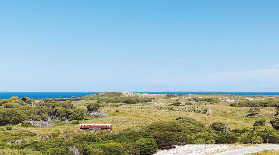Rottnest Island: Grand Bus and Train Tour with Lunch - How the four hours feel