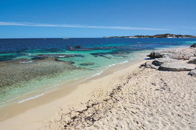 Rottnest Island Tandem Skydive - Who will enjoy this most