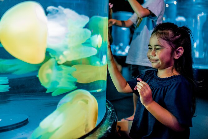 SEA LIFE Sydney Aquarium Entrance Ticket - Shark Valley, Stingrays, and Walk-Through Tanks