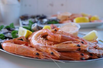 Seafood Lunch Cruise