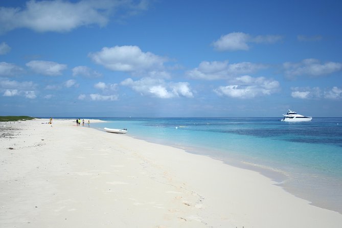 Seastar Luxury Outer Great Barrier Reef Island and Reef Tour - Hastings Reef brings a classic outer-reef setting