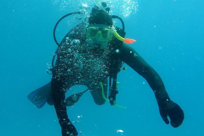 Seastar Luxury Outer Great Barrier Reef Island and Reef Tour - What is included in the day