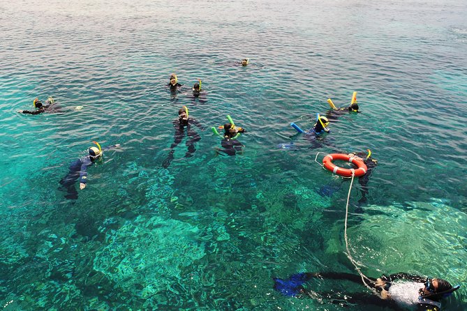 Seastar Luxury Outer Great Barrier Reef Island and Reef Tour - The morning run from Cairns Marlin Marina