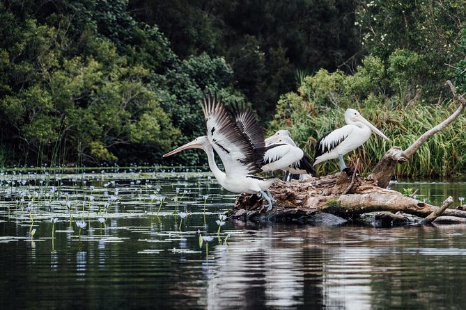 Serenity Cruise to Australia's Everglades - Who will enjoy this cruise most