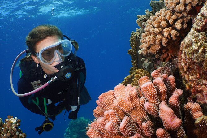 Silversonic Outer Great Barrier Reef Cruise from Port Douglas - Food, breaks, and the practical comforts