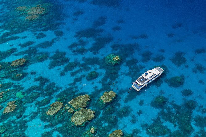 Silverswift Dive and Snorkel Great Barrier Reef Cruise - Silverswift Great Barrier Reef Cruise: Key Points