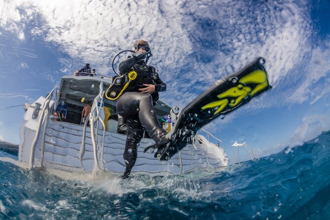 Silverswift Dive and Snorkel Great Barrier Reef Cruise - Who Will Get the Most From This Trip?