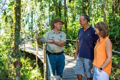 Skip the Line Kuranda Scenic Railway Gold Class and Skyrail Rainforest Cableway