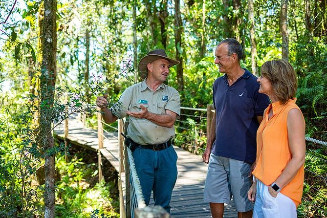 Skip the Line Kuranda Scenic Railway Gold Class and Skyrail Rainforest Cableway - Kuranda markets and the village itself