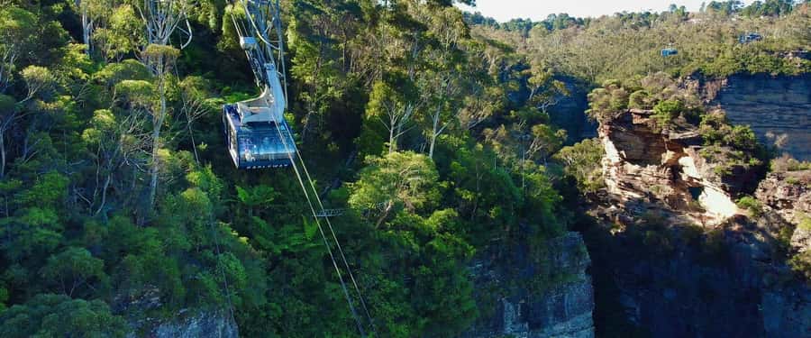 Small Group Blue Mountains, Wildlife & Scenic World Day Tour - Scenic World packs in the biggest thrills