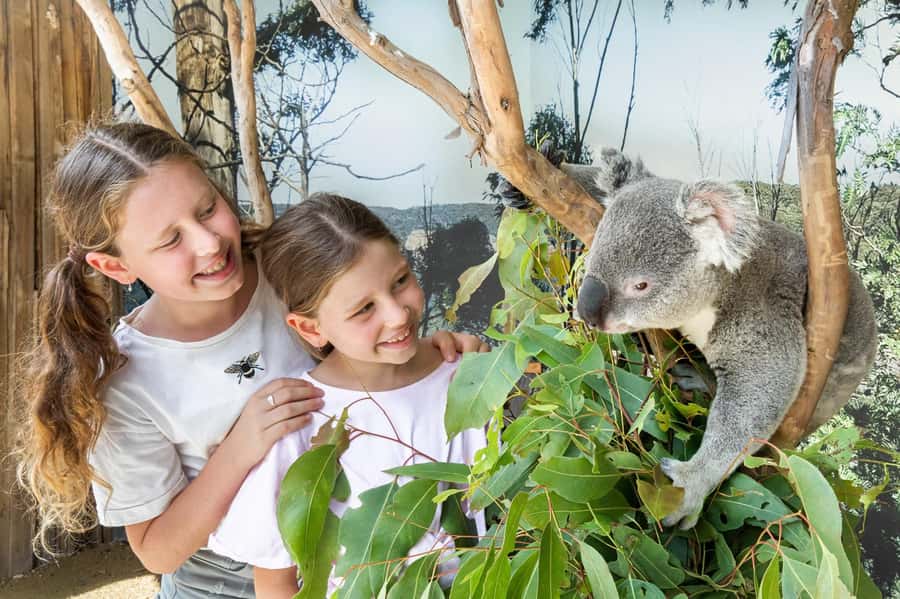 Small Group Blue Mountains, Wildlife & Scenic World Day Tour - Start early at Sydney Zoo
