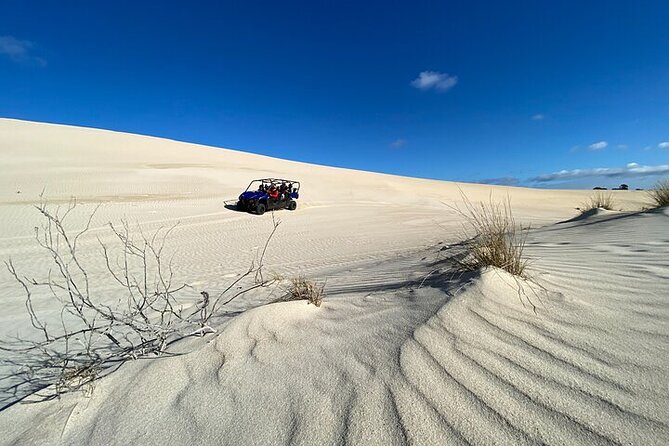 Small-Group Buggy Tour at Little Sahara with Guide - Starting in the 500-year-old gum forest