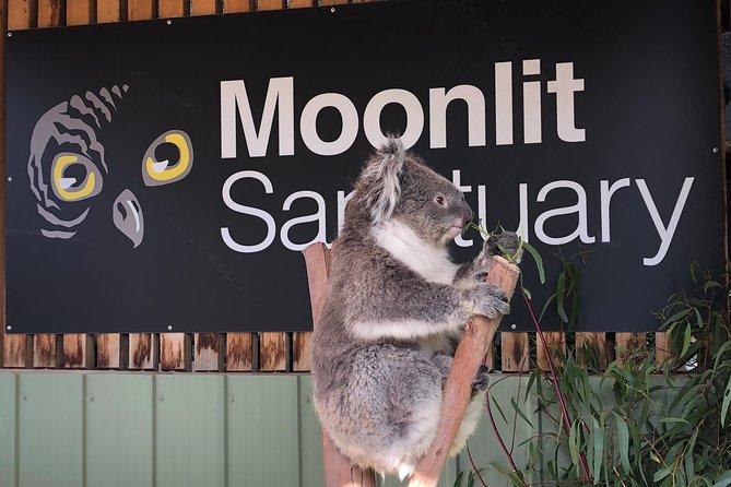 Small-Group Phillip Island Afternoon Day Trip from Melbourne - The value of the $150.01 price