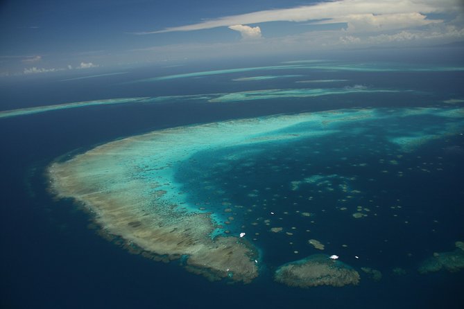 Snorkel & Dive the Reef: Sustainable, Scientific & Cultural Tour - Dry options make this a good family choice