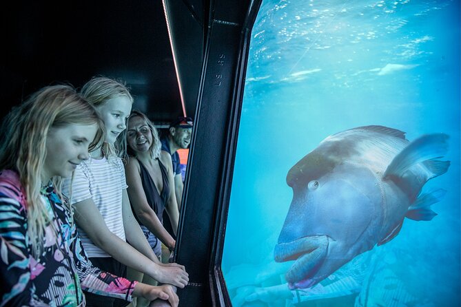 Snorkel & Dive the Reef: Sustainable, Scientific & Cultural Tour - Crowds, weather, and the best type of visitor
