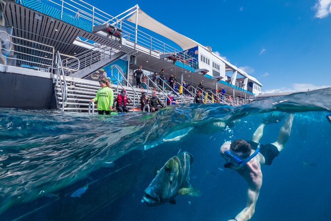 Snorkel & Dive the Reef: Sustainable, Scientific & Cultural Tour - The outer-reef platform gives you hours, not minutes