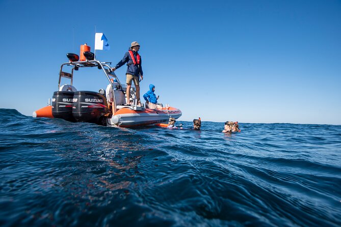 Snorkel with Turtles Gold Coast - Weather, cancellations, and practical planning
