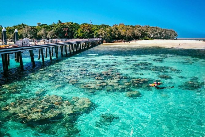 Snorkelling and Glass Bottom Boat at Green Island from Cairns - Key points to know before you go