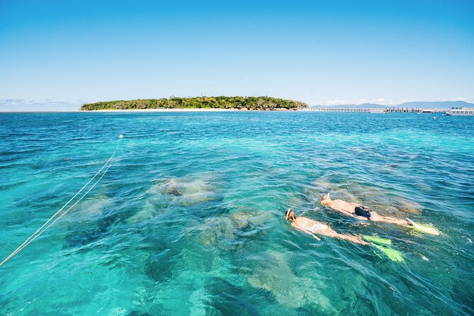 Snorkelling and Glass Bottom Boat at Green Island from Cairns - The glass-bottom boat is your best backup