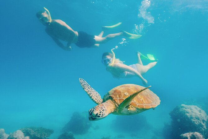 Snorkelling and Glass Bottom Boat at Green Island from Cairns - Is $107.59 good value?