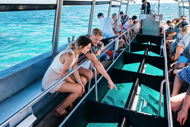 Snorkelling and Glass Bottom Boat at Green Island from Cairns - What the included snorkeling is really like