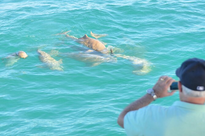 Snubfin Dolphin Eco Cruise from Broome - Booking, cancellation and timing advice