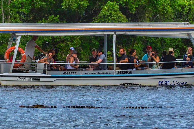 Solar Whisper Daintree River Crocodile and Wildlife Cruise - Key points at a glance