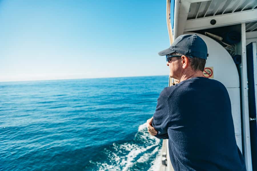 Spirit of Gold Coast 2.5-Hour Whale Watching Tour - How close can the whales get?