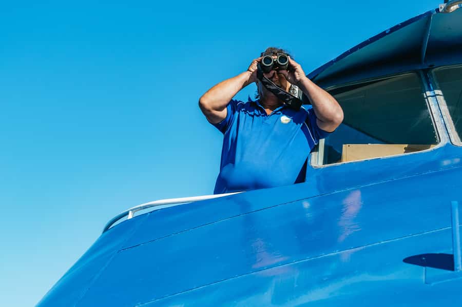 Spirit of Gold Coast 2.5-Hour Whale Watching Tour - My practical tips for a better whale watch