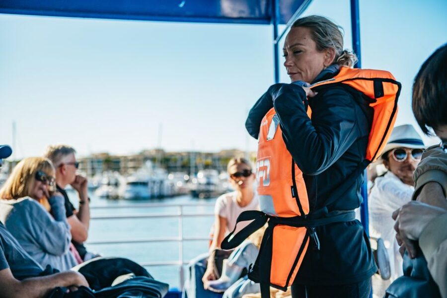 Spirit of Gold Coast 2.5-Hour Whale Watching Tour - Should you book Spirit of Gold Coast?