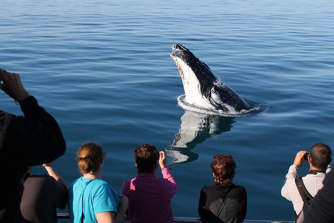 Spirit of Hervey Bay Whale Watching Cruise - Who will get the most from this cruise