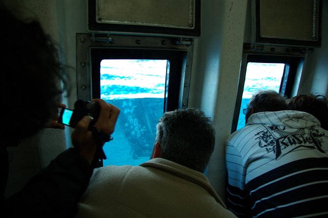 Spirit of Hervey Bay Whale Watching Cruise - Practical details that make the day easier
