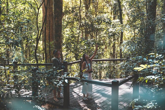 Springbrook andTamborine Rainforest Tour Incl Natural Bridge and Glow Worm Cave - The road through Numinbah Valley