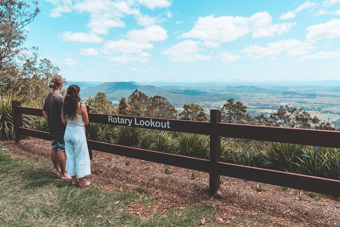 Springbrook andTamborine Rainforest Tour Incl Natural Bridge and Glow Worm Cave - Tamborine Mountain, Gallery Walk, and the lookout
