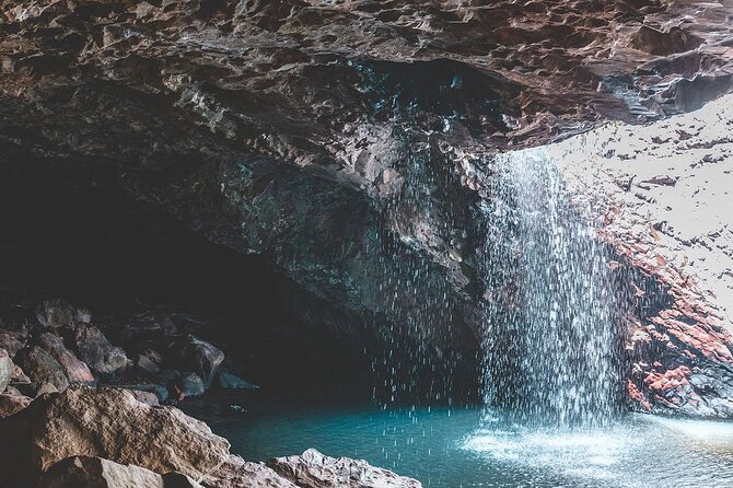 Springbrook andTamborine Rainforest Tour Incl Natural Bridge and Glow Worm Cave - What the $135.56 price includes