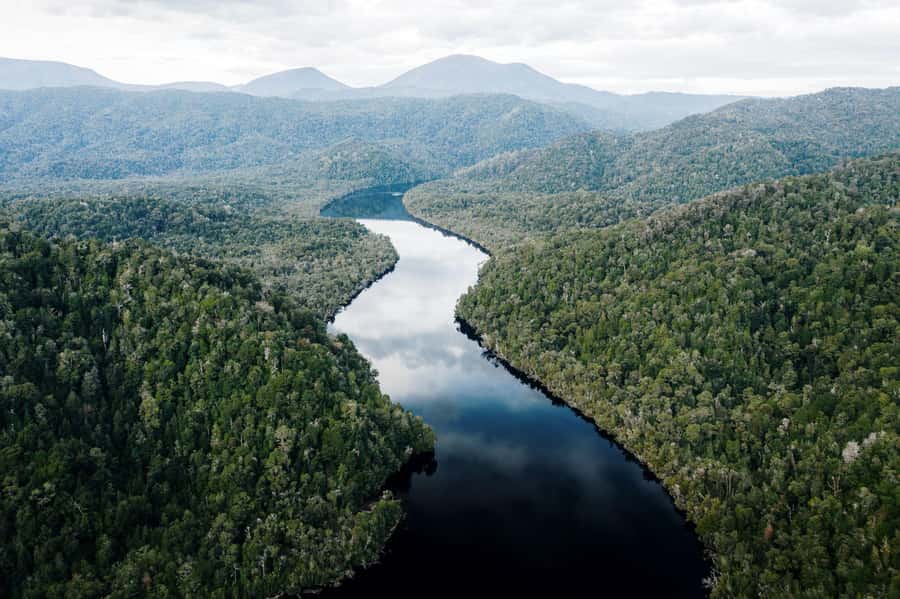 Strahan: World Heritage Cruise on Gordon River with Lunch - The Gordon River at Heritage Landing